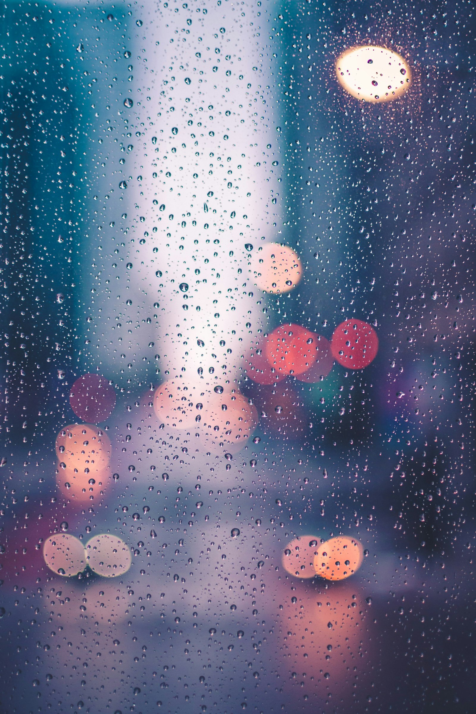 Sau một thí nghiệm ướt